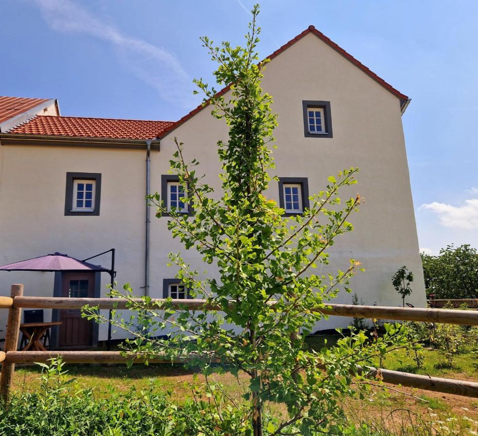 Ferienhaus "Entenhaus" Im Gutshaus De La Fontaine Feilsdorf Eksteriør billede